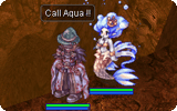 Call Aqua Info.gif