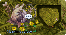 Eclfield-Corpse.png
