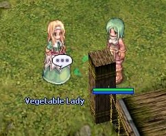 Vegetable lady.jpg