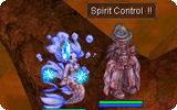 Spirit Control Info.gif