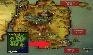 Payon Forest - pay_fild09 - Map Info - Ragnarok (Monster, NPC