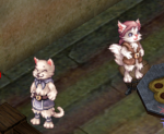 Cat row paa.png