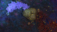 Deep Coral Area.png