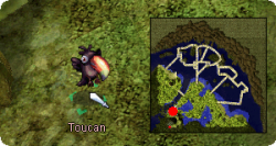 Toucan-NPC.png
