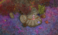 Starry coral area.png